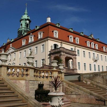 Schlossgasthaus Lichtenwalde Екстер'єр фото